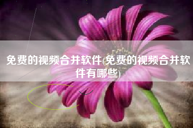 免费的视频合并软件(免费的视频合并软件有哪些)