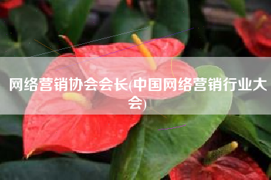 网络营销协会会长(中国网络营销行业大会)