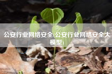 公安行业网络安全(公安行业网络安全大模型)
