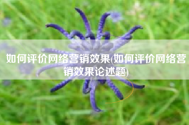 如何评价网络营销效果(如何评价网络营销效果论述题)
