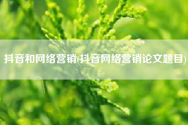 抖音和网络营销(抖音网络营销论文题目)