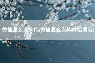 微信怎么发软件(微信怎么发软件给朋友)