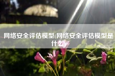 网络安全评估模型(网络安全评估模型是什么)