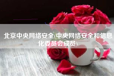 北京中央网络安全(中央网络安全和信息化委员会成员)