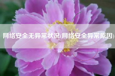 网络安全无异常状况(网络安全异常原因)