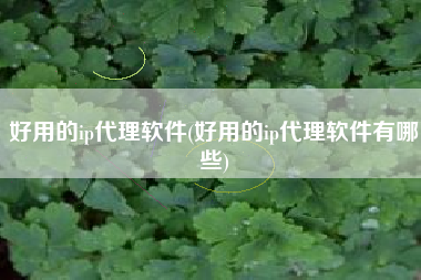 好用的ip代理软件(好用的ip代理软件有哪些)