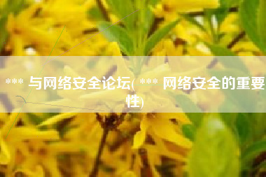 *** 与网络安全论坛( *** 网络安全的重要性)