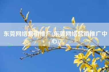 东莞网络营销推广(东莞网络营销推广中心)