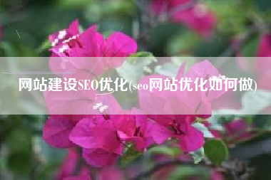 网站建设SEO优化(seo网站优化如何做)