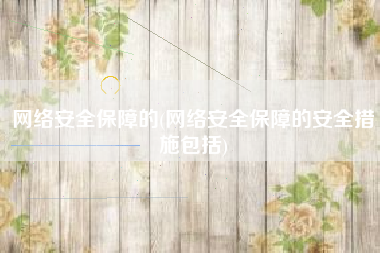 网络安全保障的(网络安全保障的安全措施包括)