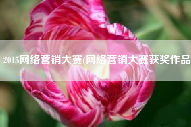 2015网络营销大赛(网络营销大赛获奖作品)