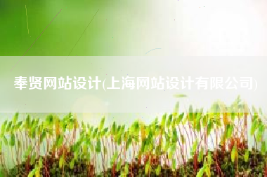 奉贤网站设计(上海网站设计有限公司)