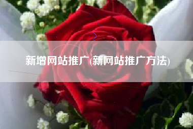 新增网站推广(新网站推广方法)