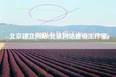 北京建立网站(北京网站建设工作室)