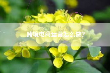 跨境电商运营怎么做？