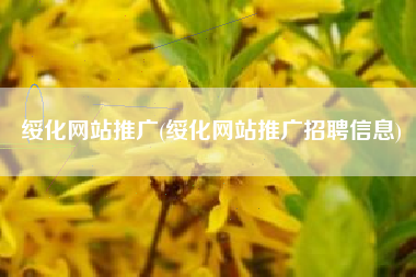 绥化网站推广(绥化网站推广招聘信息)