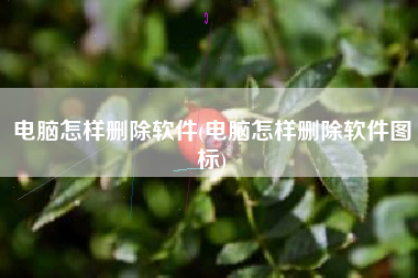 电脑怎样删除软件(电脑怎样删除软件图标)