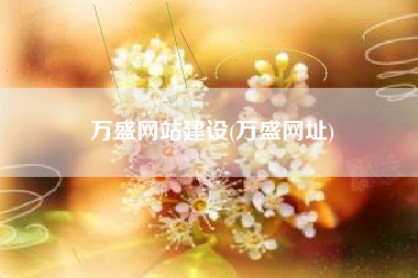 万盛网站建设(万盛网址)