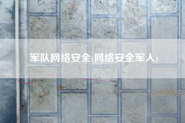 军队网络安全(网络安全军人)