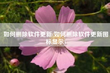 如何删除软件更新(如何删除软件更新图标显示)