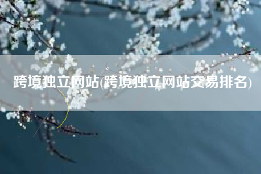 跨境独立网站(跨境独立网站交易排名)
