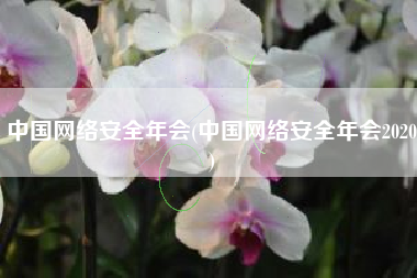 中国网络安全年会(中国网络安全年会2020)
