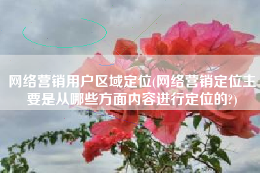 网络营销用户区域定位(网络营销定位主要是从哪些方面内容进行定位的?)