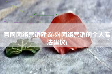 官网网络营销建议(对网络营销的个人看法建议)