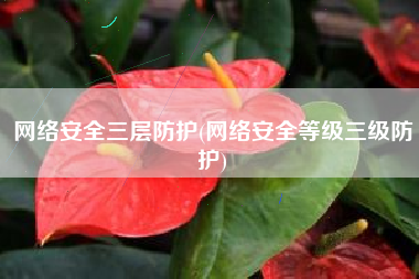 网络安全三层防护(网络安全等级三级防护)