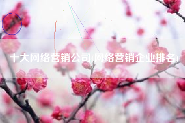 十大网络营销公司(网络营销企业排名)