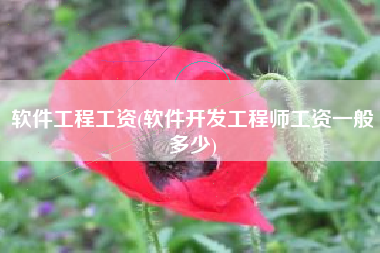 软件工程工资(软件开发工程师工资一般多少)