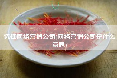 选择网络营销公司(网络营销公司是什么意思)