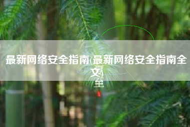 最新网络安全指南(最新网络安全指南全文)