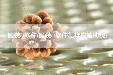 服装et软件(服装et软件怎样找辅助线)