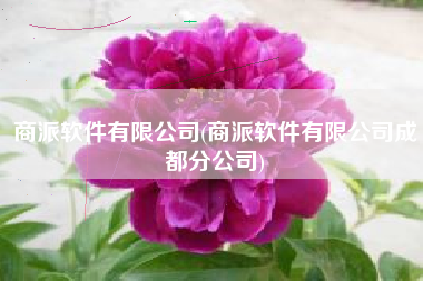 商派软件有限公司(商派软件有限公司成都分公司)