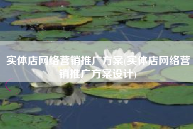 实体店网络营销推广方案(实体店网络营销推广方案设计)