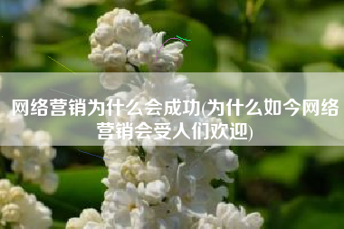 网络营销为什么会成功(为什么如今网络营销会受人们欢迎)