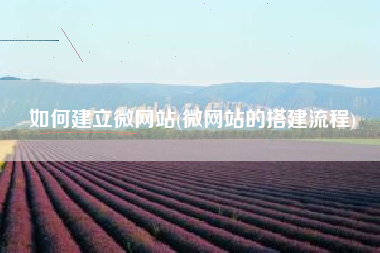 如何建立微网站(微网站的搭建流程)