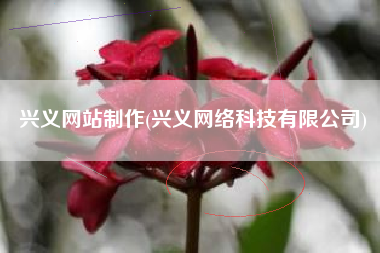 兴义网站制作(兴义网络科技有限公司)