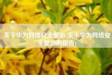 关于华为网络安全整治(关于华为网络安全整治的报告)