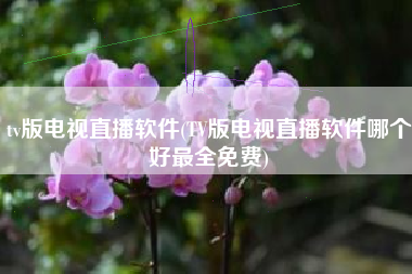 tv版电视直播软件(TV版电视直播软件哪个好最全免费)