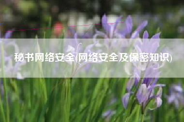 秘书网络安全(网络安全及保密知识)