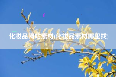 化妆品网站素材(化妆品素材哪里找)