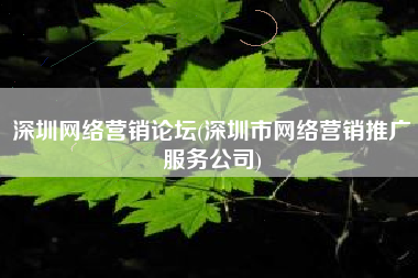 深圳网络营销论坛(深圳市网络营销推广服务公司)