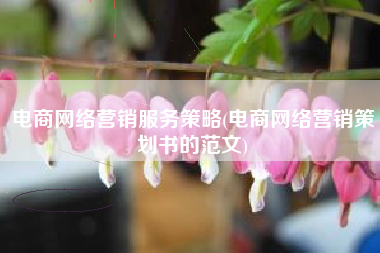 电商网络营销服务策略(电商网络营销策划书的范文)