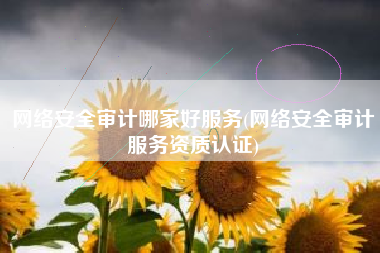 网络安全审计哪家好服务(网络安全审计服务资质认证)