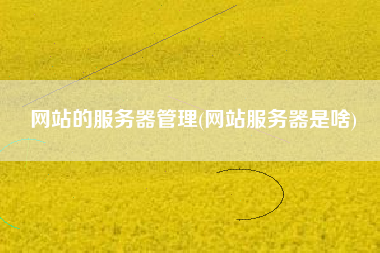 网站的服务器管理(网站服务器是啥)