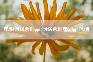 电影网络营销ppt(网络营销策划ppt范例)