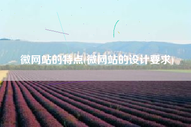 微网站的特点(微网站的设计要求)