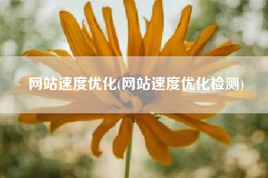 网站速度优化(网站速度优化检测)